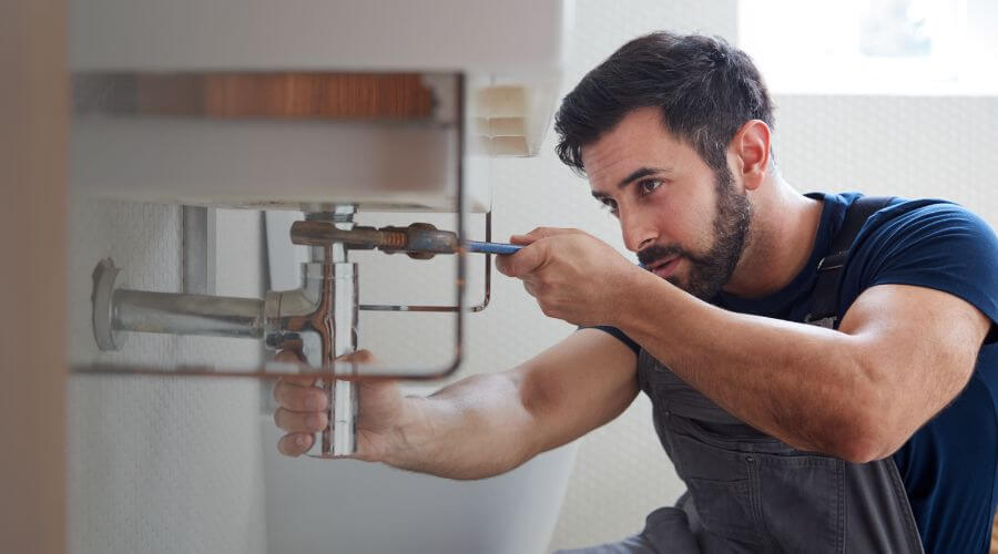 Trap Repair/Replacement in Caledonia, MI